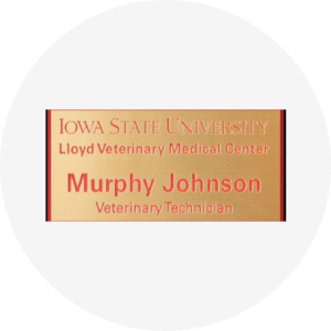 Name Badges