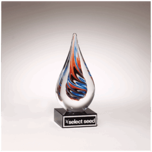Teardrop Art Glass on Black Glass Base