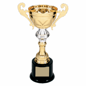 8 3/4" Completed Metal Cup Trophy on Plastic Base