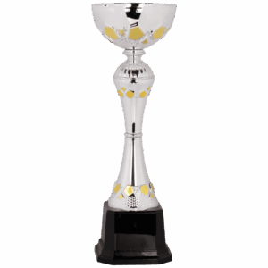 10 3/4" Completed Metal Cup Trophy on Plastic Base