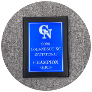 Plaques