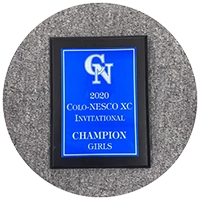 Plaques